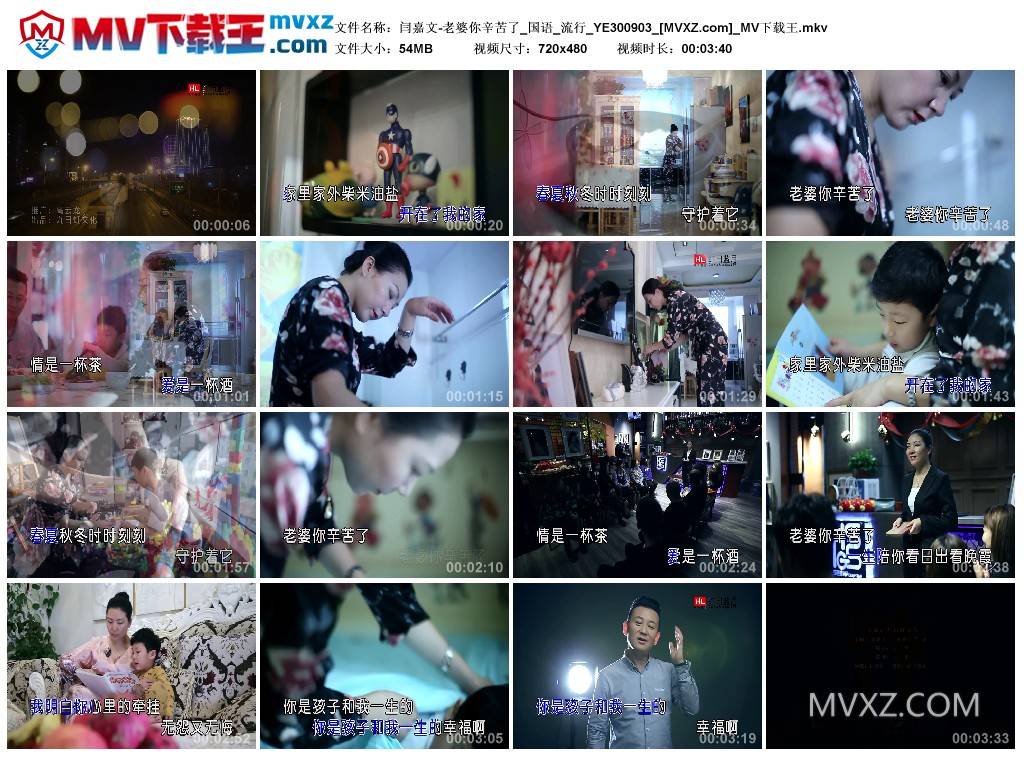 闫嘉文-老婆你辛苦了_国语_流行_YE300903